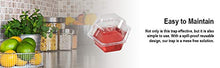 Load image into Gallery viewer, Beapco 10036 Pre-Filled Fruit Fly Trap, Pack of 6, Clear, 20 in