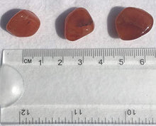Load image into Gallery viewer, 3 Pc Carnelian Small-Medium Crystal Tumble Stones