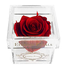 Load image into Gallery viewer, Eternal Petals Solo - A Real Rose That Lasts A Year - Perfect Unique Gift for Women, Men, Birthday Gift (Deep Red)