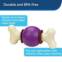Load image into Gallery viewer, PetSafe Busy Buddy Bouncy Bone M Durable Dog Chew Toy, Dog Toy Bone with Treat Rings - Medium