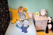 Load image into Gallery viewer, The Gro Company Ollie the Owl Groclock Sleep Trainer
