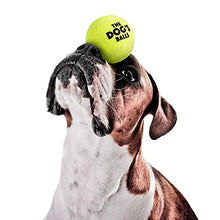 Load image into Gallery viewer, The Dog's Balls, Dog Tennis Balls, 12-Pack Yellow Dog Toy, Strong Dog & Puppy Tennis Ball