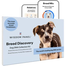 Load image into Gallery viewer, Wisdom Panel Breed Discovery - Dog DNA Collection Kit 2.0