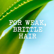 Load image into Gallery viewer, Maui Moisture Thickening and Volumising Aloe Vera and Bamboo Sulphate Free Shampoo 385ml