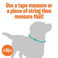 Load image into Gallery viewer, Padded Dog Collar, UK Brand, Adjustable, Reflective, Ultra Soft Breathable Neoprene padding. 4 sizes, 5 colours, Premium X-Strong Nylon, plus Safety Buckle. Odour Resistant & Fast Drying