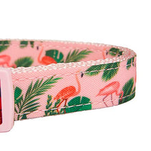 Load image into Gallery viewer, YUDOTE Pink Dog Collar Medium with Flamingos Print for Lively Female Girl Dogs Daily Use,Adjustable 31-49cm