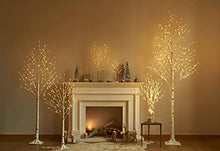 Load image into Gallery viewer, Hairui Pre Lit White Birch Tree 4FT 72 LED for Easter Christmas Holiday Party Festival Decorations Plug in