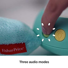 Load image into Gallery viewer, Fisher-Price CGN86 Hippo Plush Projection Soother, New-Born Soft Light Projector White Noise Toy