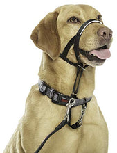Load image into Gallery viewer, HALTI Headcollar Size 3 Black, UK Bestselling Dog Head Harness to Stop Pulling on the Lead, Easy to Use, Padded Nose Band, Adjustable & Reflective, Professional Anti-Pull Training Aid for Medium Dogs