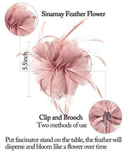 Load image into Gallery viewer, Z&X Women's Sinamay Fascinator Headband Clip Mesh Flower Feather Cocktail Pillbox Hat, D- Nude Pink, One Size