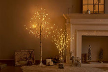 Load image into Gallery viewer, Hairui Pre Lit White Birch Tree 4FT 72 LED for Easter Christmas Holiday Party Festival Decorations Plug in