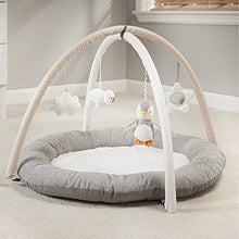 Load image into Gallery viewer, Nuby Penguin Baby Play Gym, with Padded Activity Play Mat Base, Grey