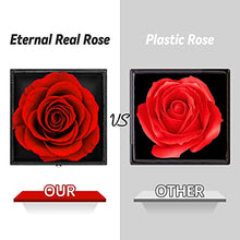 Load image into Gallery viewer, Preserved Real Rose, Gift Box with I Love You Necklace, Handmade Eternal Real Rose Flower Gifts for Her Woman Wife Girlfriend Mother on Birthday, Anniversary, Valentine's Day, Mother's Day, Christmas