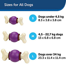 Load image into Gallery viewer, PetSafe Busy Buddy Bouncy Bone M Durable Dog Chew Toy, Dog Toy Bone with Treat Rings - Medium