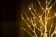 Load image into Gallery viewer, Hypestar Twig Tree with Lights,Valentine Decorations with 80 LED,White twig Tree with Timer,Battery/USB Operated Led Tree,Artificial Tree for Christmas Wedding and Easter Decor (80LED Grain Base)