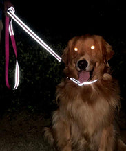 Load image into Gallery viewer, Taglory Reflective Dog Training Lead, Neoprene Padded Handle and Metal Hook, 1.2 m x 2.0 cm Nylon Leash for Small Dogs, Hot Pink