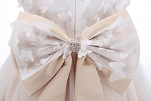 Load image into Gallery viewer, Bow Dream Lace Toddler Girl Dress with Headband Wedding Party Formal Champagne Butterfly 4T