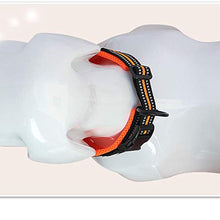 Load image into Gallery viewer, TRUE LOVE Truelove Dog Training Collar TLC5011 Reflective Premium Buckle Nylon Webbing Pet Dog Collars,High Grade Nylon Webbing No Choke Basic Collars Now Available (S, Orange)