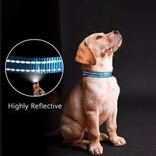 Load image into Gallery viewer, Reflective Dog Collar, Adjustable Basic Dog Collar with Metals Buckle, Soft Nylon Pet Collar for Puppy Small Medium Dogs (L, Blue)
