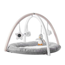 Load image into Gallery viewer, Nuby Penguin Baby Play Gym, with Padded Activity Play Mat Base, Grey