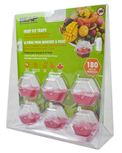 Load image into Gallery viewer, Beapco 10036 Pre-Filled Fruit Fly Trap, Pack of 6, Clear, 20 in