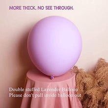 Load image into Gallery viewer, Double Stuffed Lilac Pink Balloon Arch Kit Macaron Pink Lavender Latex Balloon Garland Kit Baby Pink Balloons For Pink Theme Birthday Engagement bachelorette Garden Party Bridal Shower Decorations