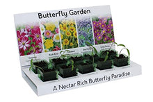 Load image into Gallery viewer, Butterfly Garden Grow Your Own Wild Flowers at Home Kit. Attract Butterflies with These Wild Flower Seeds in an Eco Grow Kit, 100% Recyclable and Made with 100% Recycled Materials