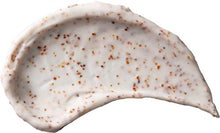 Load image into Gallery viewer, Burt's Bees 99.9% Natural Peach and Willow Bark Deep Pore Exfoliating Facial Scrub, 113.3 grams