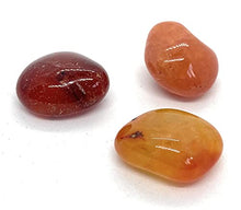 Load image into Gallery viewer, 3 Pc Carnelian Small-Medium Crystal Tumble Stones