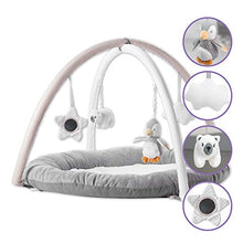 Load image into Gallery viewer, Nuby Penguin Baby Play Gym, with Padded Activity Play Mat Base, Grey