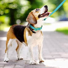 Load image into Gallery viewer, Amazon Brand - Eono Dog Collar Adjustable Nylon , for Samll/Medium/Large Dogs Collars , Double Premium Pet Collar Training Walking Outside (S 1.5CM,30-40CM)