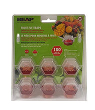 Load image into Gallery viewer, Beapco 10036 Pre-Filled Fruit Fly Trap, Pack of 6, Clear, 20 in