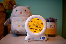 Load image into Gallery viewer, The Gro Company Ollie the Owl Groclock Sleep Trainer
