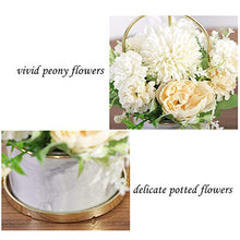 Load image into Gallery viewer, KIRIFLY Artificial Flowers Fake Peony Silk Hydrangea Flower with Vase Flower Décor Arrangements for Wedding Decoration Table Centerpieces(White with Vase Set)