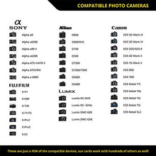 Load image into Gallery viewer, SD UHS-II 64GB Card V60 –Up to 130MB/s Write Speed and 250 MB/s Read Speed | For Professional Vloggers, Filmmakers, Photographers & Content Curators – By Prograde Digital
