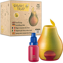Load image into Gallery viewer, Pestmatic Smart Fruit Fly Trap, 1 Trap + 1 attractant x 15 ml bottle: 30 Day Natural Lure Supply, Ready-to-use Indoor Fruit Fly Catcher, Alternative for Fly Killer & Spray, Fruit flies insect trap