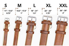 Load image into Gallery viewer, Riparo Genuine Leather Padded Dog Heavy Duty K-9 Adjustable Collar (S: 1.9CM Wide for 28CM - 34.3CM Neck, Black/Orange Thread)