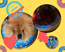 Load image into Gallery viewer, Inflatable Dog Collar | Great Alternative to a Dog Cone or a Dog Cone Collar | Our Super Comfy Dog Doughnuts Make Excellent Recovery Collars For Dogs | Suitable for Large Dogs (Blue)