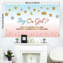 Load image into Gallery viewer, Pink and Blue Gender Reveal Decorations Girl or Boy Pregnancy Announcement Banner Gender Surprise Backdrop Background Twinkle Twinkle Little Star for Baby Shower, 72.8 x 43.3 Inch
