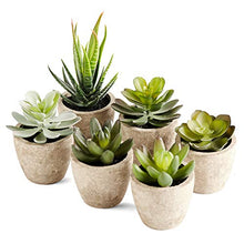 Load image into Gallery viewer, PRIMAISON Artificial Succulents Plants Potted Set-Decorative Fake Succulent Plant Faux Plastic Plant Indoor &Outdoor for House Office Desk Bathroom Kitchen DIY Decor Gift Set of 6