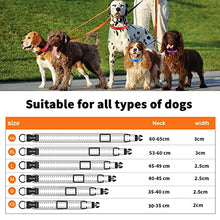 Load image into Gallery viewer, PcEoTllar Padded Dog Collar with Tag Reflective Adjustable Dogs Collars Soft Nylon Neoprene Super Light Breathable for Small Medium Large Dogs - Orange M