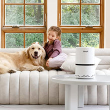 Load image into Gallery viewer, best air purifier canada