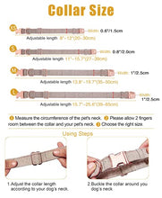 Load image into Gallery viewer, Rose Gold Dog Collar and Lead(2m) Set | Exceptionally Elegant & Adjustable | 3 Adjustable Lengths Dog Leash | Soft and Easy to Clean