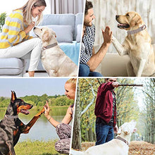 Load image into Gallery viewer, Rose Gold Dog Collar and Lead(2m) Set | Exceptionally Elegant & Adjustable | 3 Adjustable Lengths Dog Leash | Soft and Easy to Clean