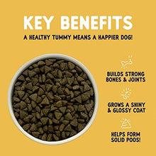 Load image into Gallery viewer, Burgess Sensitive Dry Dog Food Turkey, 12.5 kg