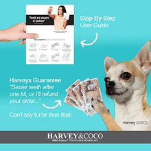Load image into Gallery viewer, Teeth Whitening Kit, PRO-Edition with LazerCoco, More Effective Than Strips or Charcoal, Say Hi to Your New Smile