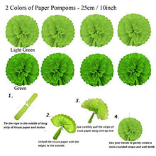 Load image into Gallery viewer, Zerodeco Party Decoration, 21 Pcs Green Hanging Paper Fans, Pom Poms Flowers, Garlands String Polka Dot and Triangle Bunting Flags for Golf Party Dinosaur Birthday Parties Arbor Day