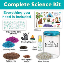Load image into Gallery viewer, Creativity for Kids Grow 'N Glow Terrarium Kit - Art and Craft Gift Educational Science Project Activities for Kids