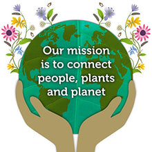 Load image into Gallery viewer, Pukka Herbs | Feel New Organic Herbal Tea | Fennel, Cardamon and Turmeric | Perfect For Feeling Good | 4 packs | 80 Sachets