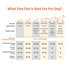 Load image into Gallery viewer, Amazon Basics Dog and Puppy Training Pads, Leakproof, 5-Layer Design with Quick-Dry Surface, Regular, Pack of 100